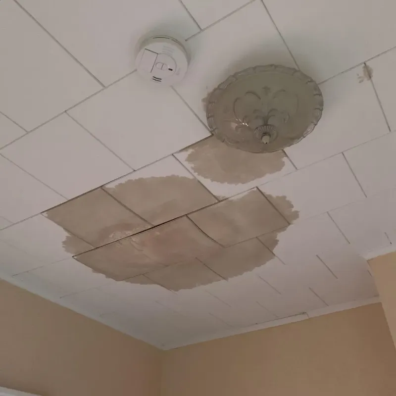 Ceiling Water Damage Repair in Barry County, MI