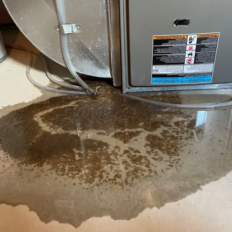Pipe Burst and Leak Restoration in Barry County, MI